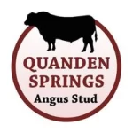 Quanden Springs Angus Stud